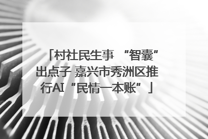 村社民生事 “智囊”出点子 嘉兴市秀洲区推行AI“民情一本账”